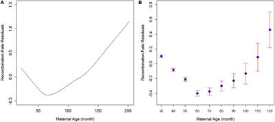 Effect of Temperature and Maternal Age on Recombination Rate in Cattle